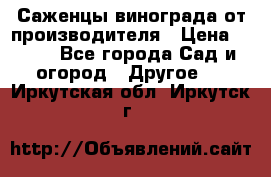 Саженцы винограда от производителя › Цена ­ 800 - Все города Сад и огород » Другое   . Иркутская обл.,Иркутск г.